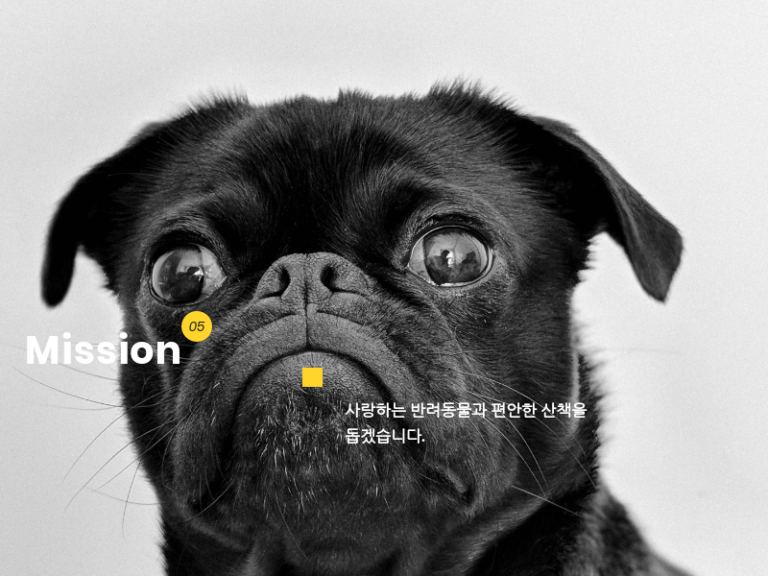 네발로 반려견 보조기