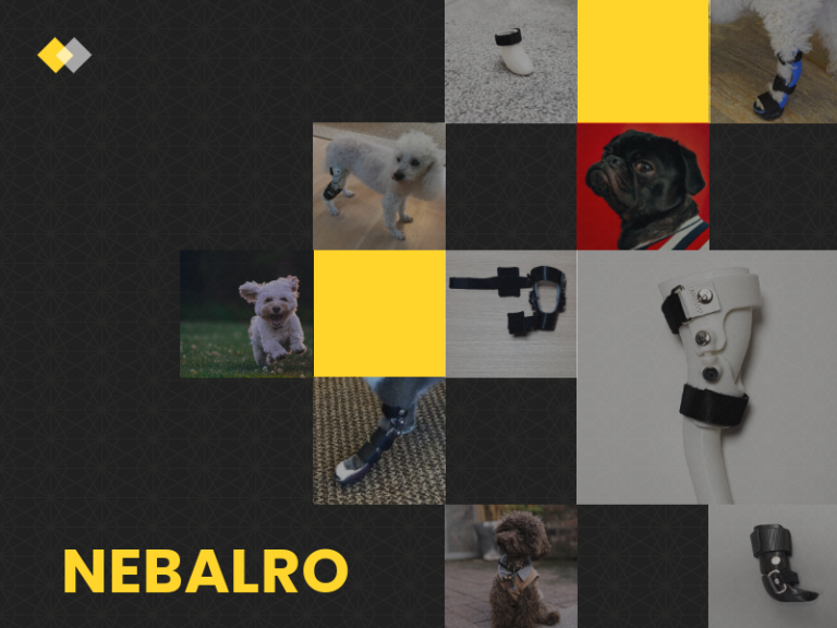 애견보조기 전문 네발로