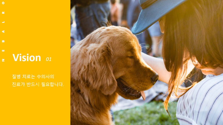 네발로 사랑하는 반려견과 편안 산책!!