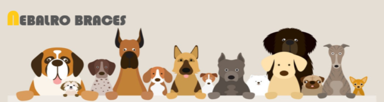 강아지 보조기 전문 네발로  슬개골 탈구!!