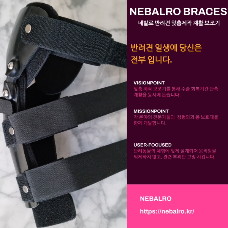 의료용 반려견 무릎보조기 네발로