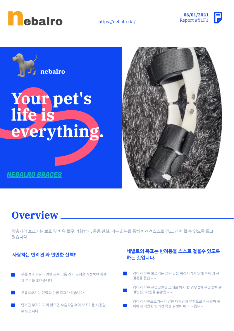 강아지 슬개골 탈구 의료용 보조기 전문 네발로