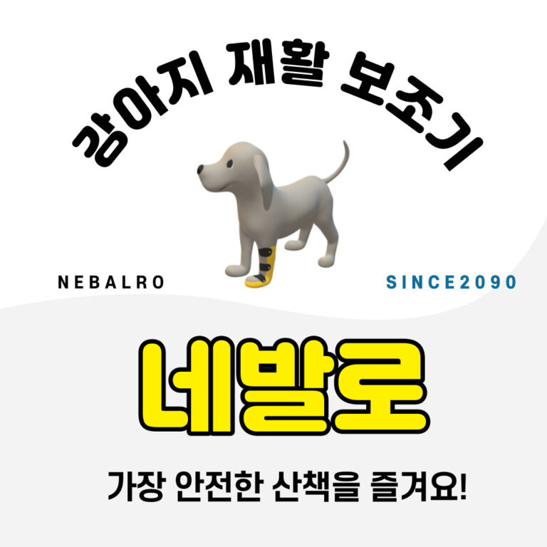 의료용 애견 재활 보조기