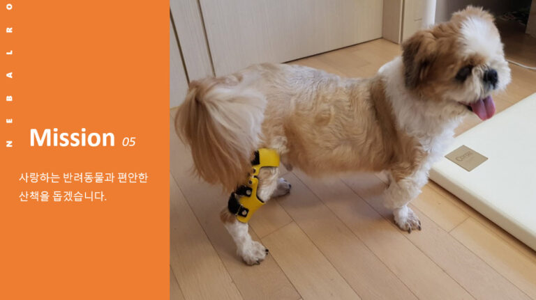 의료용 애견 보조기