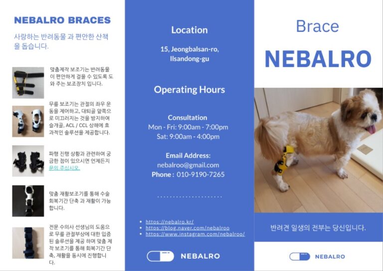 의료용 반려견  보조기