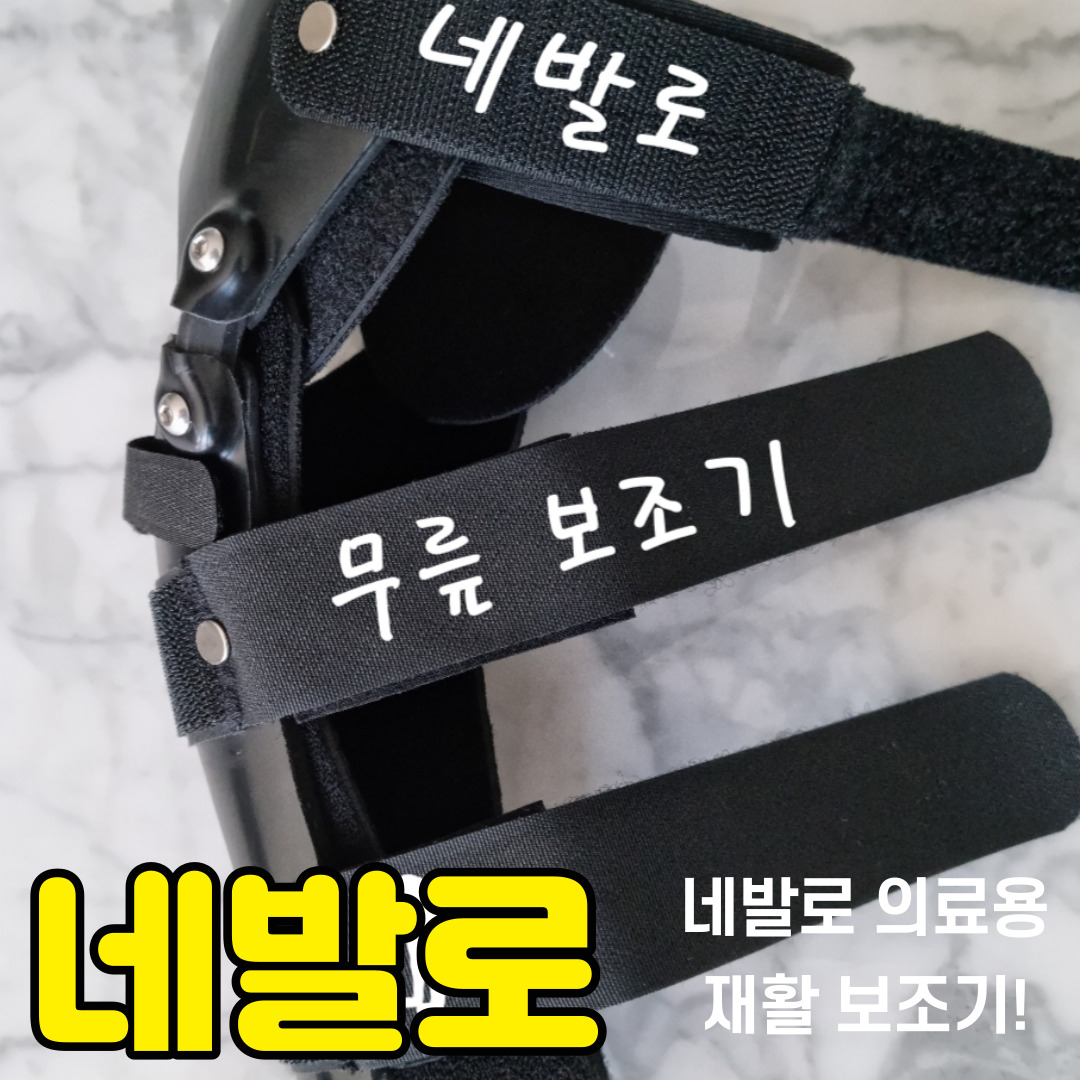 반려견 십자인대, 슬개골 질환