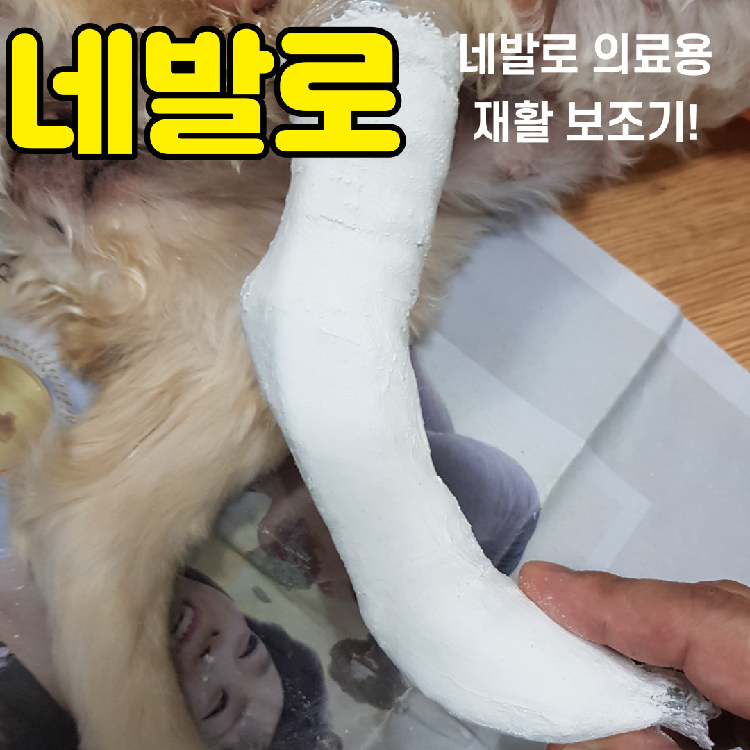 강아지 뒷발목 탈구 재활 보조기 네발로