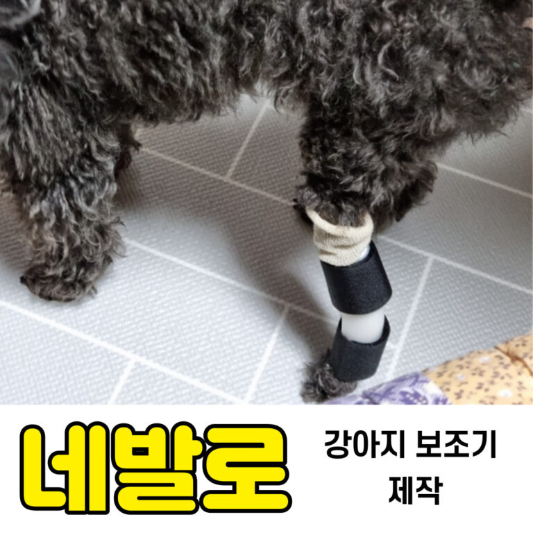 강아지 골관절염