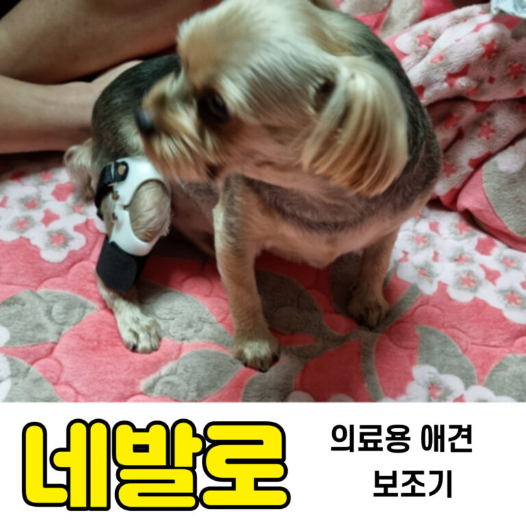 강아지 십자인대파열 보조기