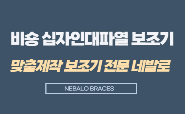 비숑 십자인대파열 보조기