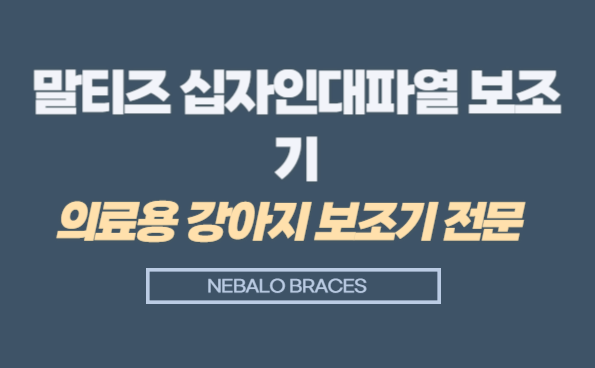 말티즈 십자인대파열 보조기