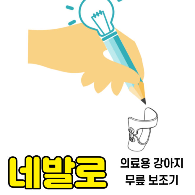 반려견 관절 건강