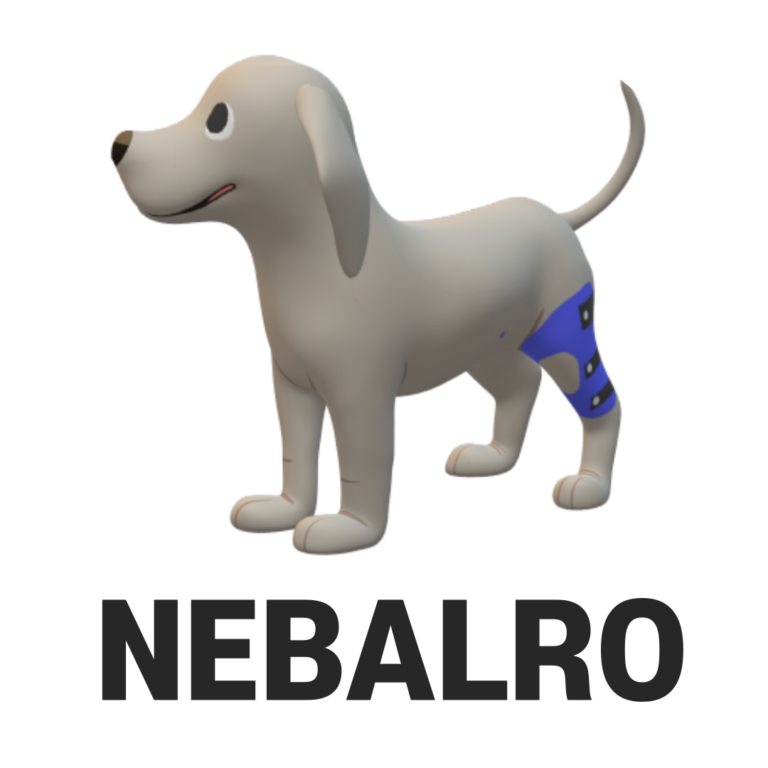 강아지 보조기 네발로 비숑프리제 십자인대파열