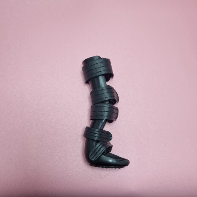 반려견 보조기, 동물병원 협업 제작